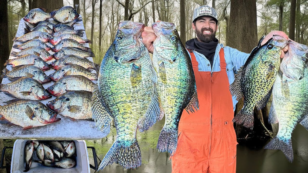 Эти плиты просто ОГРОМНЫЕ!! Лучший день для МЕГАрыбалки на КРАППИ! — ОГРОМНЫЙ ЛИМИТ и НОВЫЙ ЛИЧНЫ...