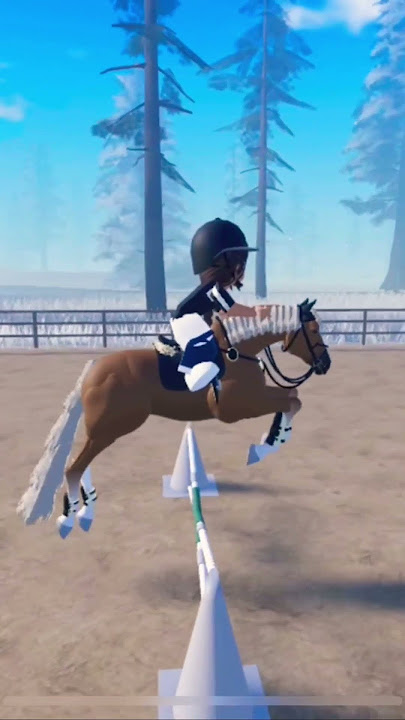 Vlogmas short arazi broke a shoe so we couldn’t show so I had a jumping lesson on silly