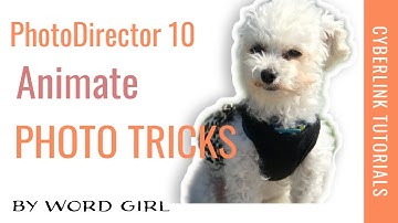Photodirector 10 animate photo tricks!  NEW!