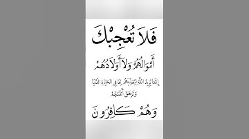 القارئ اليمني محمد الفقيه يبدع في تلاوة سورة التوبة