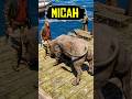 Funny ways to Kill Micah 2 #rdr2 #reddeadredemption2 #reddeadredemption #micahbell #arthurmorgan