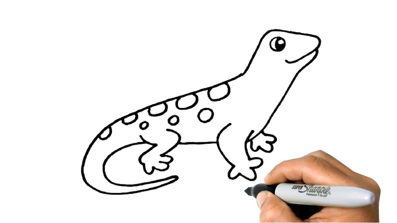 Reptile Archives - Art For Kids Hub