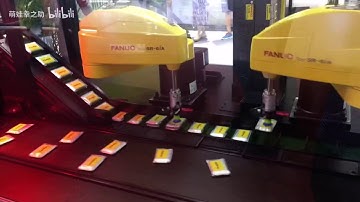 FANUC SCARA Robot High Speed Box Loading System