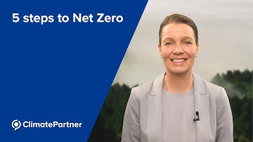 5 Steps to Net Zero I ClimatePartner