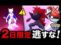 【緊急】今すぐゾロア入手して！また不具合発生で大変なことに…！モンボPlusの注意点と最新情報まとめ【ポケモンGO】