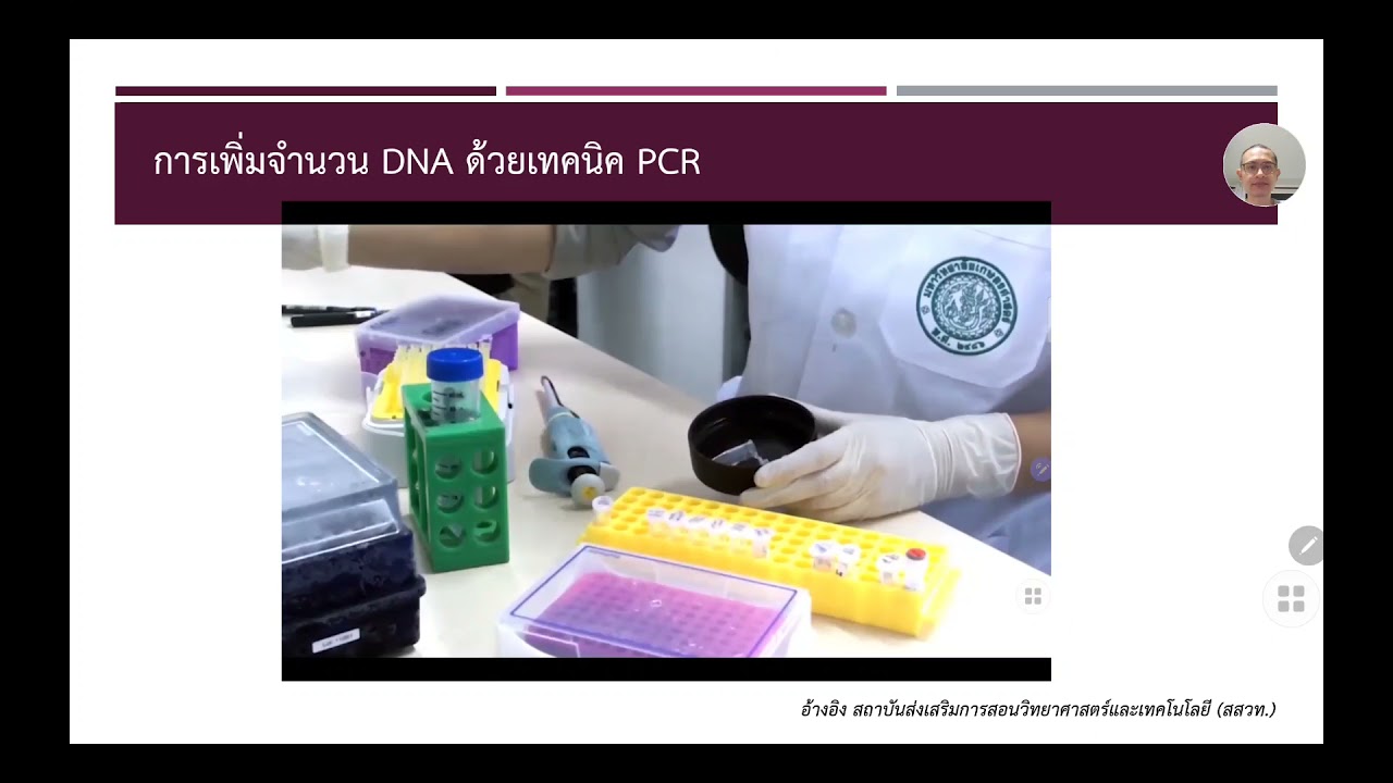 การเพิ่มจำนวน DNA ด้วยเทคนิค PCR
