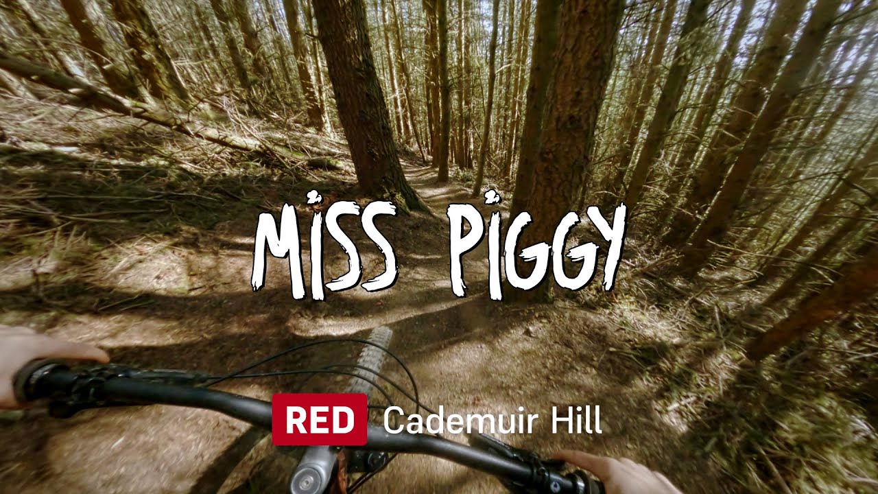 Miss Piggy - Red Trail - Cademuir Hill, Peebles, Scotland