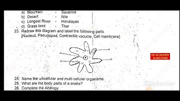 6th std science quarterly exam 2023|previous year original question paper 2019 English medium
