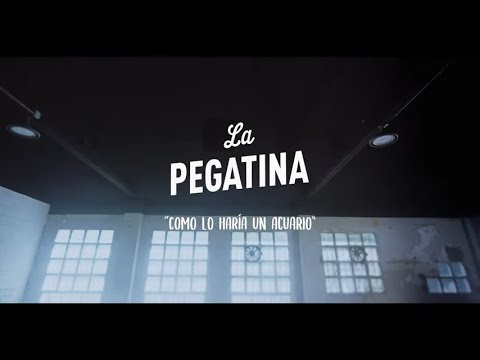 La Pegatina - Como lo haría un acuario (Videoclip Oficial)