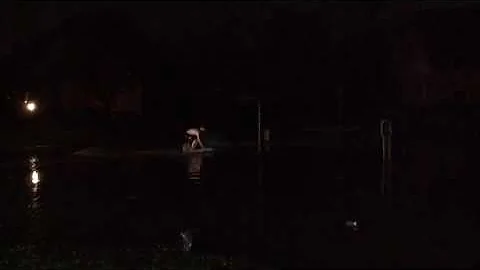 Teen Wrestles 40 lb Fish Bare-Handed in Street