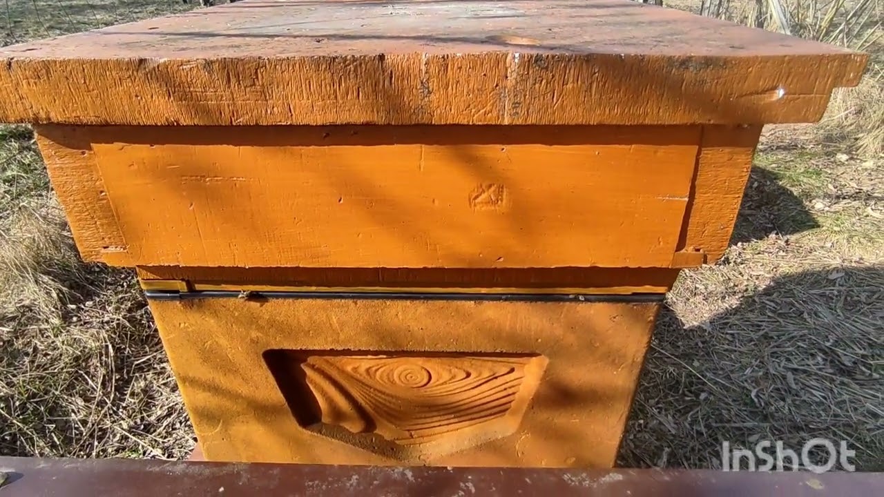 Pszczoły 1.03.2026 pierwszy przegląd pasieki pod domem 