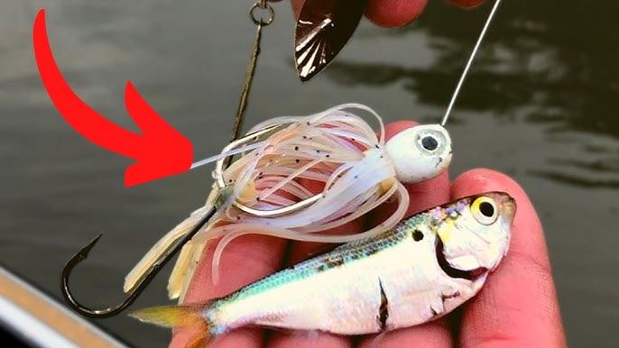 Spinnerbait tricks and tips and Why I HATE Spinnerbait Trailer