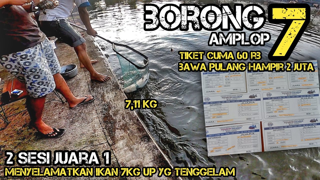 mancing galatama BORONG amplop juara 1 dua sesi 7KG UP