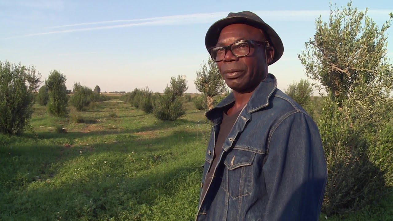 spiegel ドイツ語 Italiens Sklavenmarkt: Die Slums der afrikanischen Erntehelfer