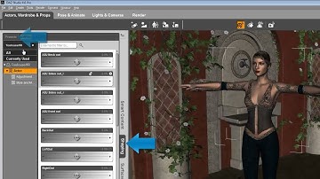 DAZ Studio 4 6 QuickStart Guide   Barefoot Dancer