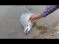Amazing Big Katla Fish 🐠 🎣 Catching /Matching Fishing /sing seker.