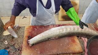 Long & Fresh Barracuda Fish Cuttign & Filleting//Barracuda Cutting Fastest Way//Amazing Fish Cutting