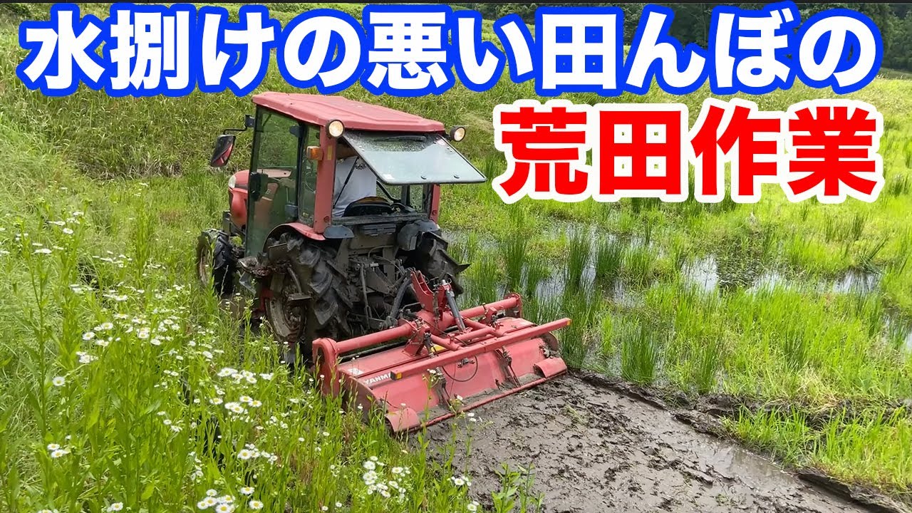 【後編】田おこし今からするの？！水捌けの悪い田んぼを初心者ができるのか？！(RICE IS COMEDY®︎)