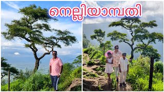 Nelliyampathy🍃💚🍃A One Day Trip || Family Vlog || Seetharkundu || Palakkad, Kerala || Malayalam ||