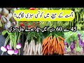 August Main Konsi Sabzi Lagaye |What Kind Of Vegetables To Grow In August Month| Super agriculture