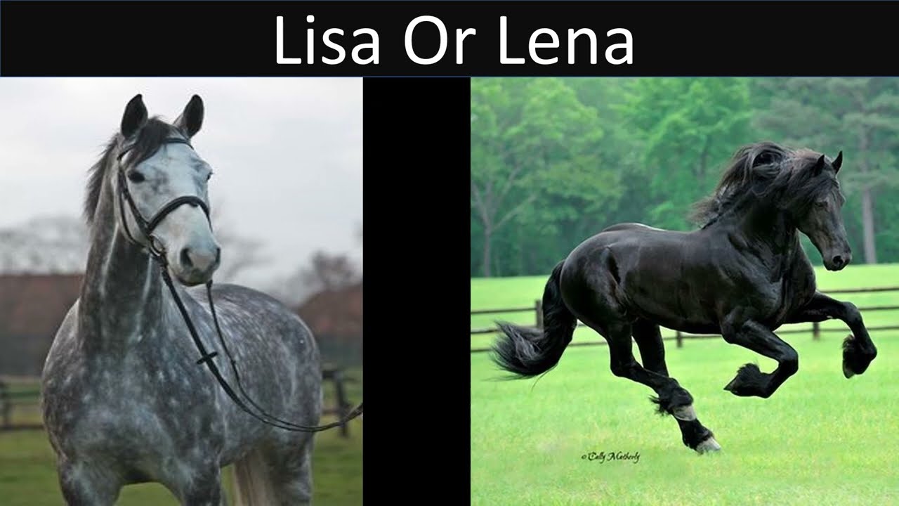 LISA OR LENA HORSE EDITION