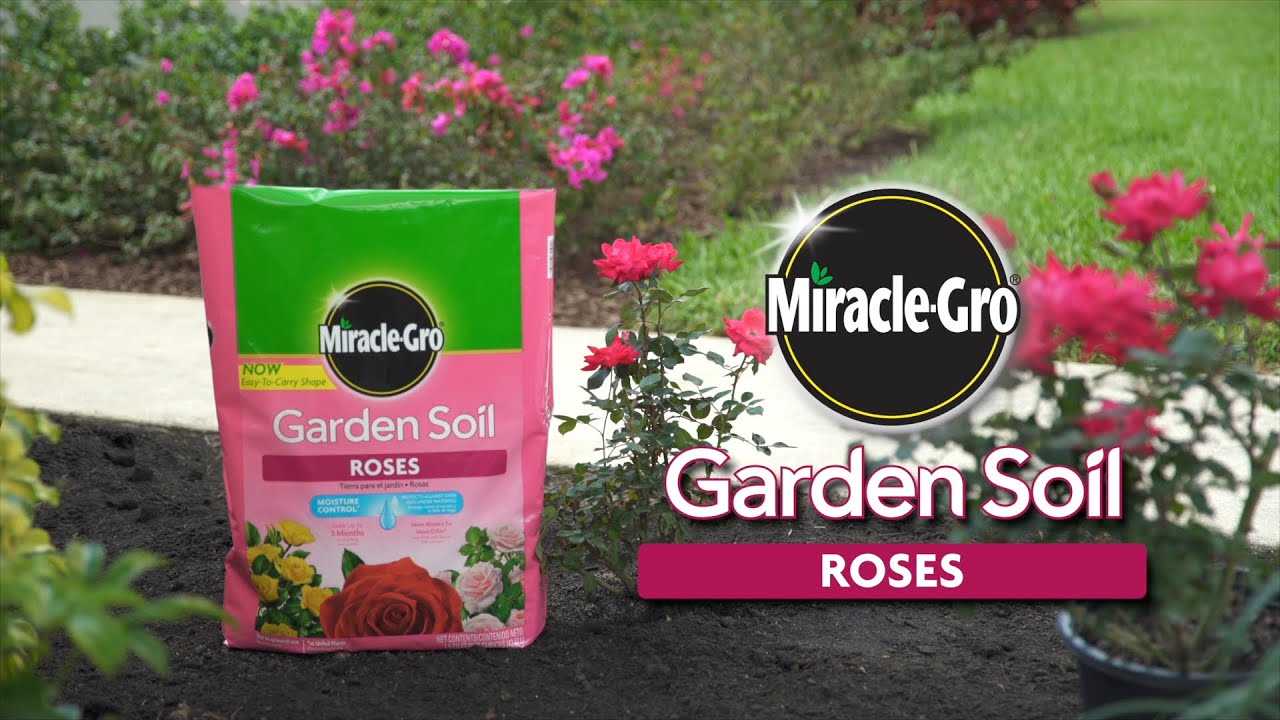 How To Use Miracle Gro Garden Soil For Roses Youtube