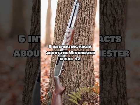 Winchester Model 12 12 Gauge Shotgun Serial Numbers