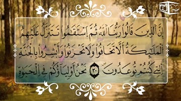 سورة فصلت : من الآية 30 إلى الآية 37 (صوت رائع ما شاء الله).