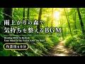 雨上がりの森で気持ちを整えるBGM|作業・家事・朝のリフレッシュに|Healing Forest BGM 🌿|光の庭#10