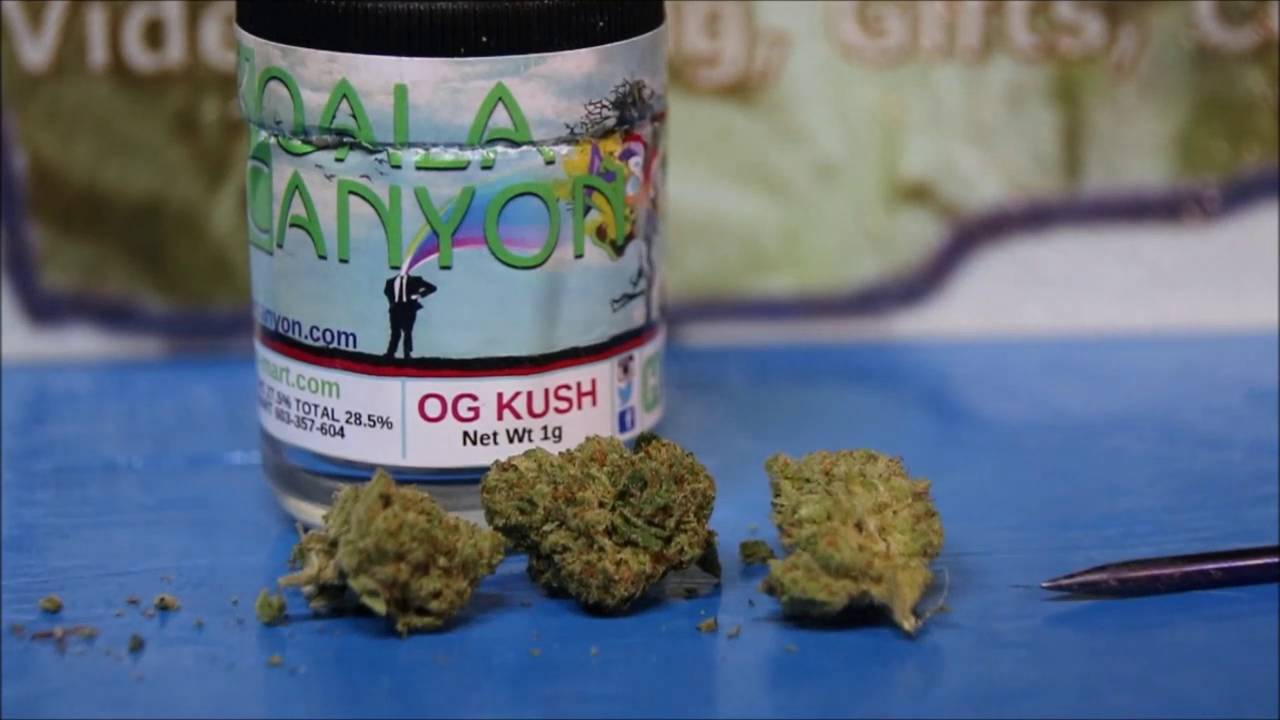Koala Canyon OG Kush Legal Weed Review 420 Strain Review YouTube