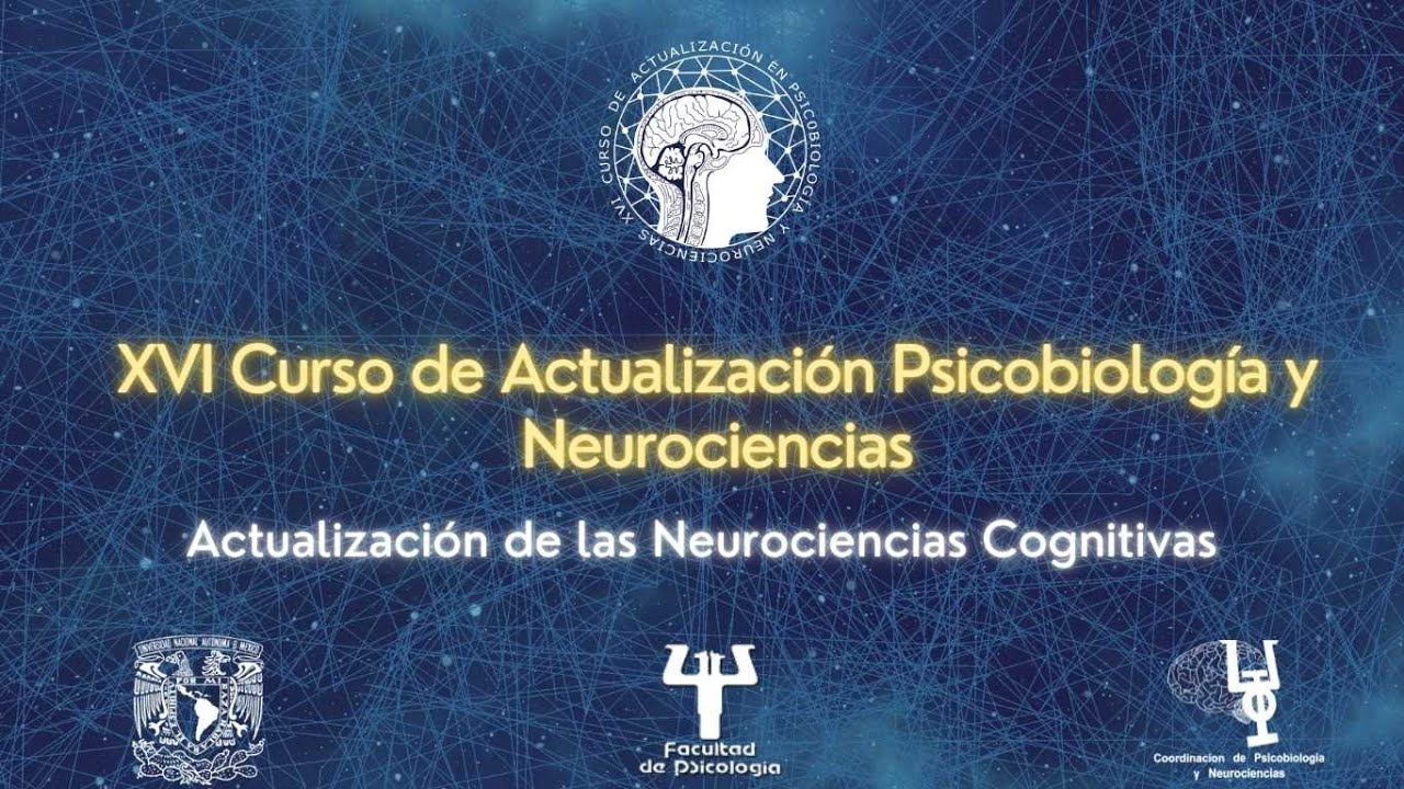 XVI Curso de Actualización - Día 4 "Conectividad funcional y los procesos cognitivos"