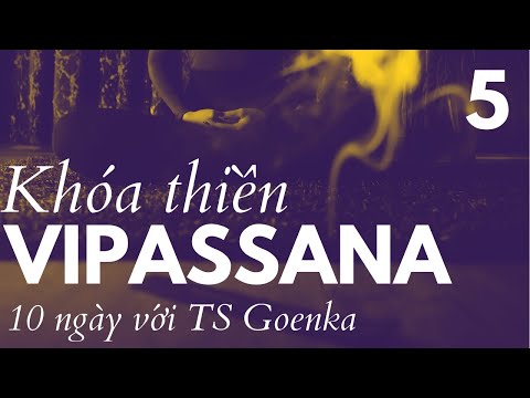 Video Khóa thiền Vipassana 10 ngày với TS Goenka - Ngày 5 - YouTube