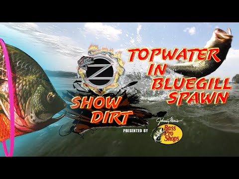 Topwater In Bluegill Spawn -ZONA SHOW DIRT Episode 45