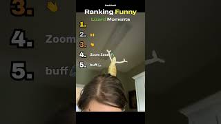 FUNNY LIZARD Moments Ranked