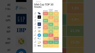 Mid-Cap Top 10