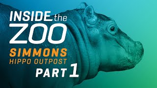 INSIDE THE ZOO - Simmons HIPPO Outpost: Part 1
