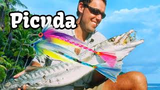 Braided Barracuda Fly.