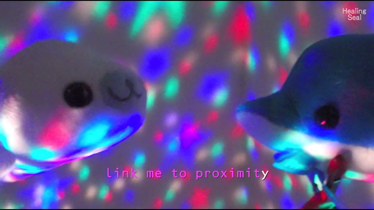 How about doing Karaoke with Seal and Dolphin Jimmy? with clover