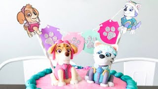 Paw Patrol Everest And Skye's Birthday Party.