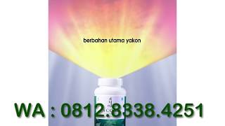 YACONA OBAT HERBAL DIABETES AMPUH