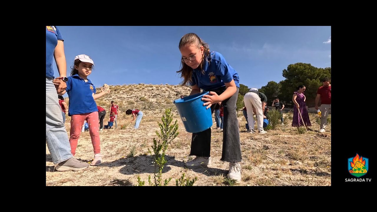 VII Jornadas Ecológicas de la Federació de les Fogueres de Sant Joan 2025
