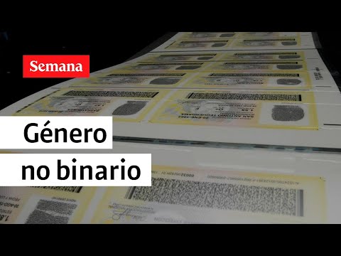 Corte ordena incluir género no binario en documentos de identificación | Semana Noticias