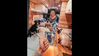 Revealed Our Hidden Camper Van Toilet