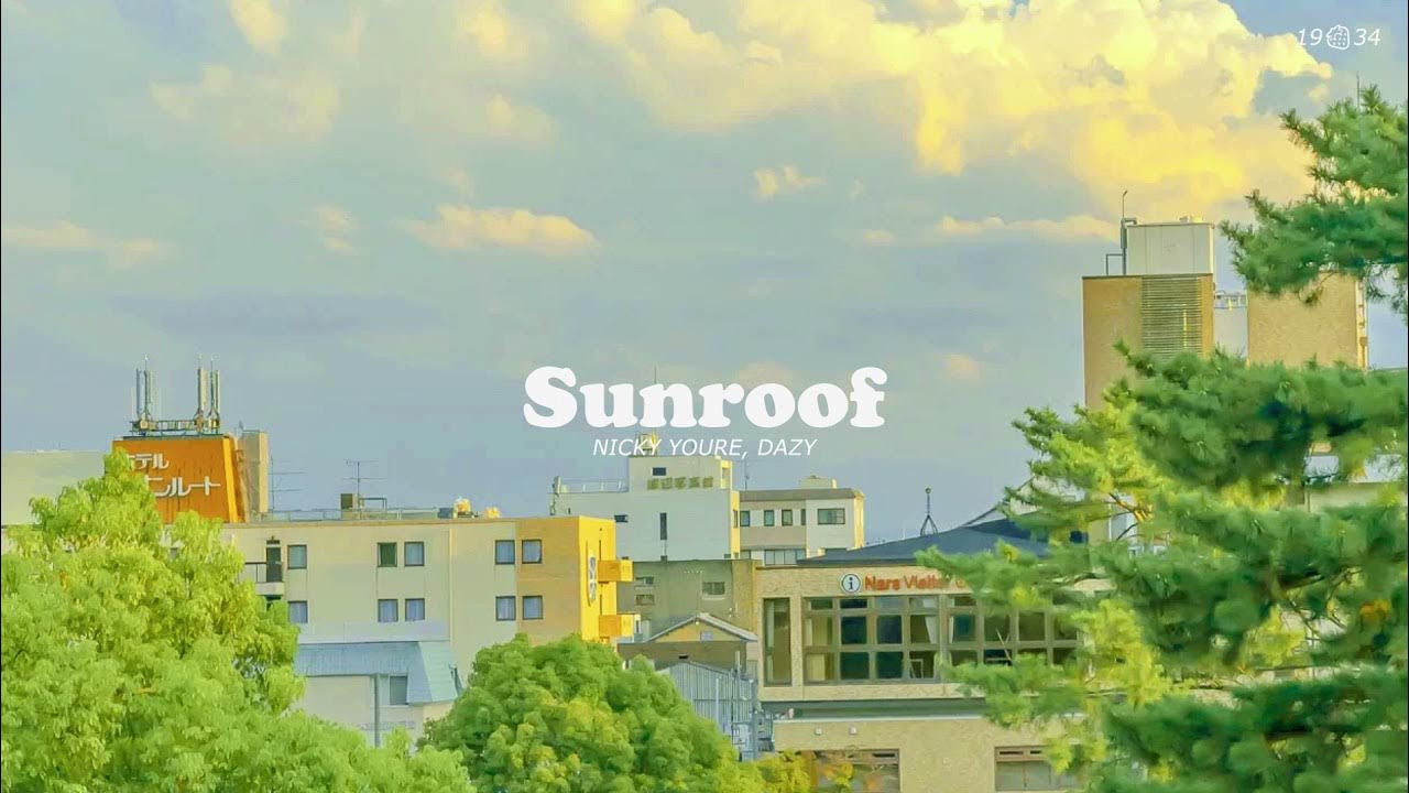 Sunroof by Nicky Youre, dazy [1 hour loop] YouTube