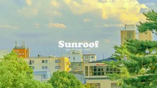 Sunroof by Nicky Youre dazy