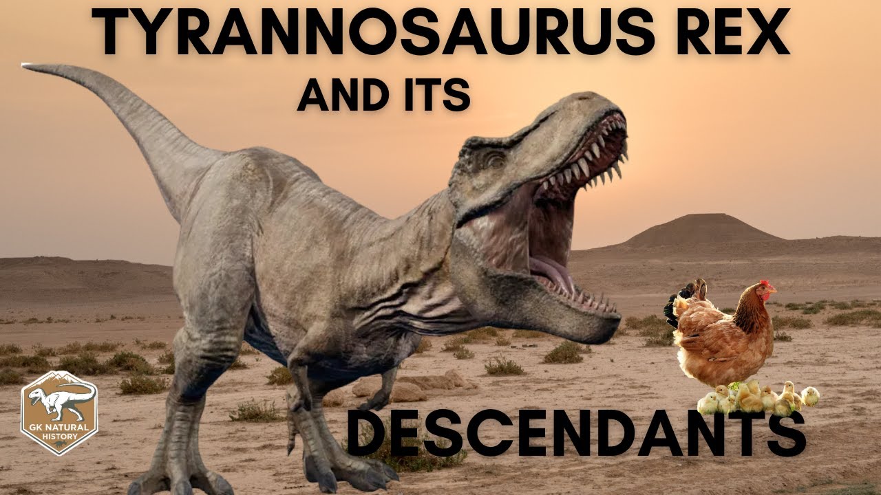 Tyrannosaurus Rex And Its Descendants YouTube Tyrannosaurus Rex And Its Descendants YouTube