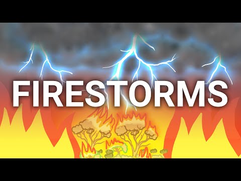 Video: Wat is Sedum 'Firestorm' – Leer over Firestorm Sedumplanten