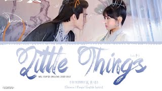 Little Things (小事) - Dai Yanni (戴燕妮)《Ms. Cupid In Love 2022 OST》《姻缘大人请留步》Lyrics