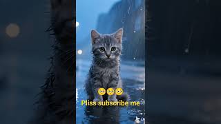 #cat #cats #catsad #catshorts #catlovers #catvideos #catmemes #remix
