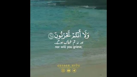 سورة الزخرف: ٦٧-٦٩ || القارئ مؤيد المزين